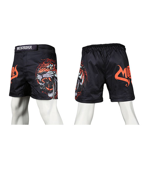 Fight Shorts