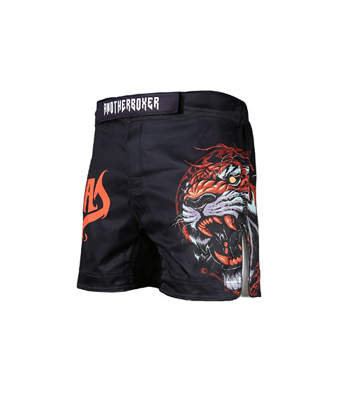 Fight Shorts